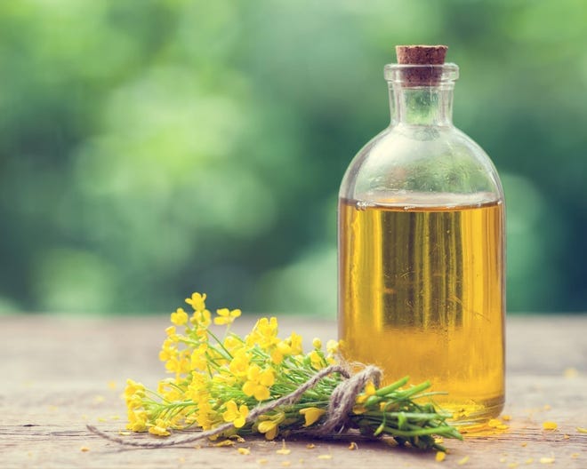 Cold Pressed Canola Oil