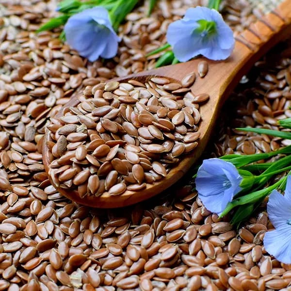 Flaxseed