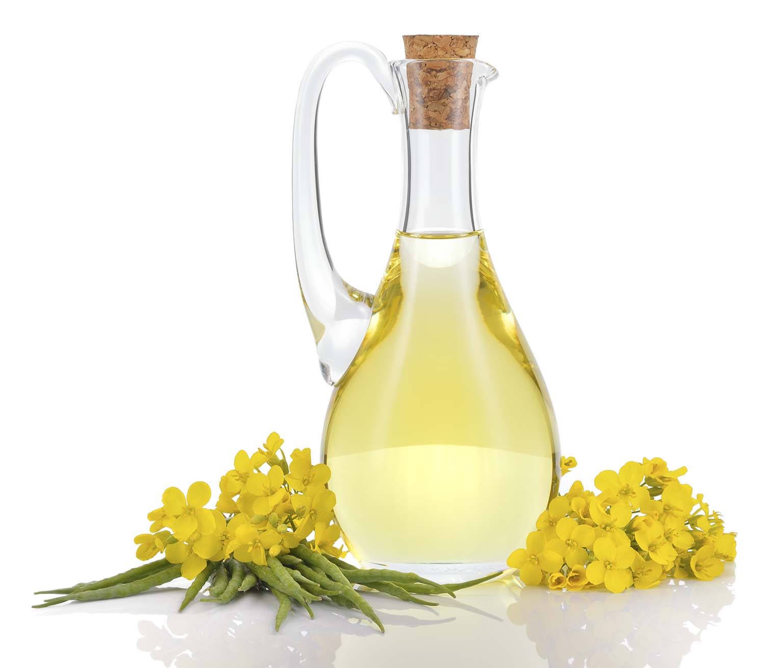 High Oleic Canola Oil